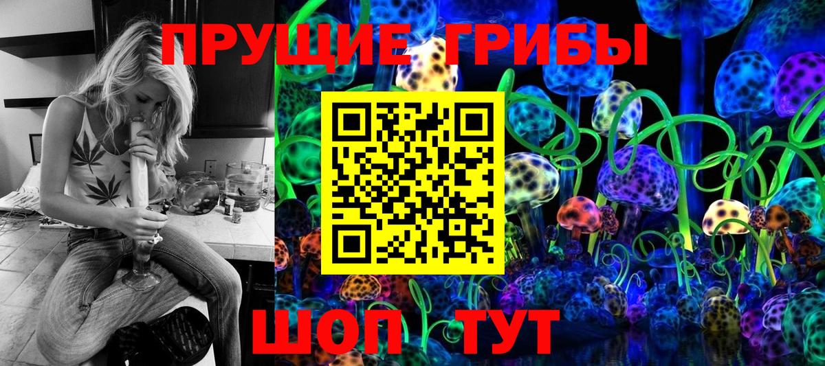 Псилоцибиновые грибы GOLDEN TEACHER Сосновый Бор