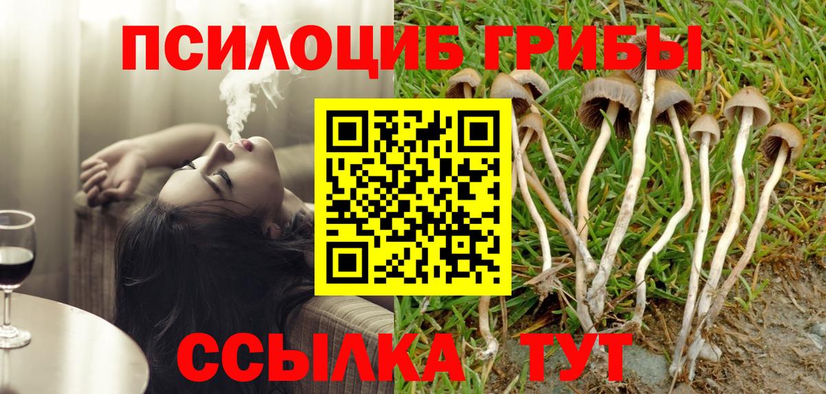 Сосновый Бор  Галлюциногенные грибы Magic Shrooms  Вход с VPN 